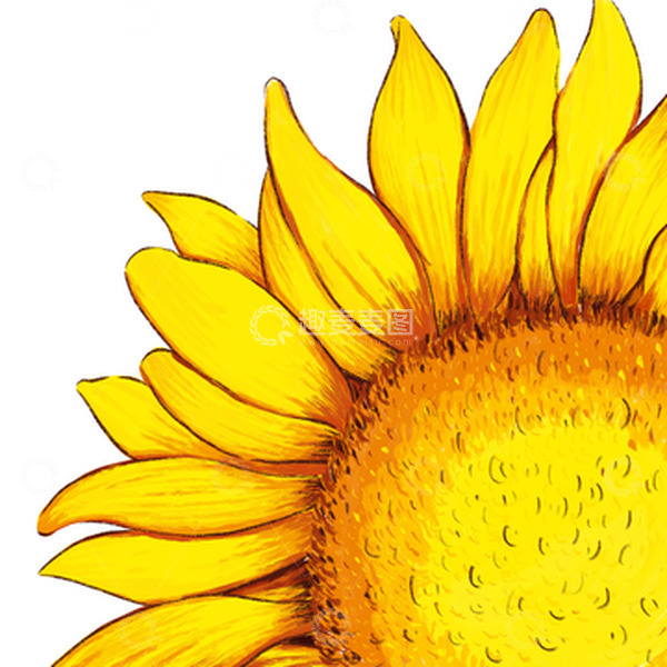 源文件下载【趣麦麦图】黄色立秋手绘小清新向日葵手绘元素