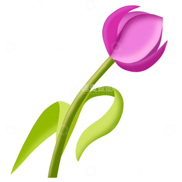 源文件下载【趣麦麦图】手绘鲜艳漂亮的郁金香