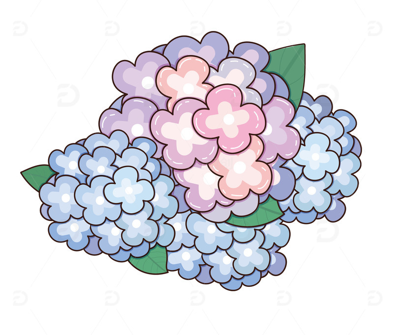 粉紫色手绘绣球花新年花束手捧花