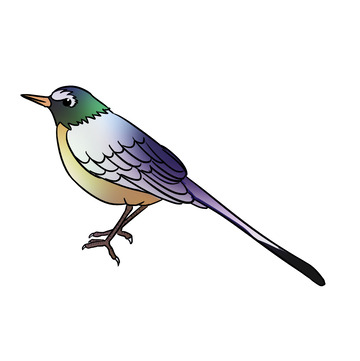 鸟卡通山雀元素平面麻雀