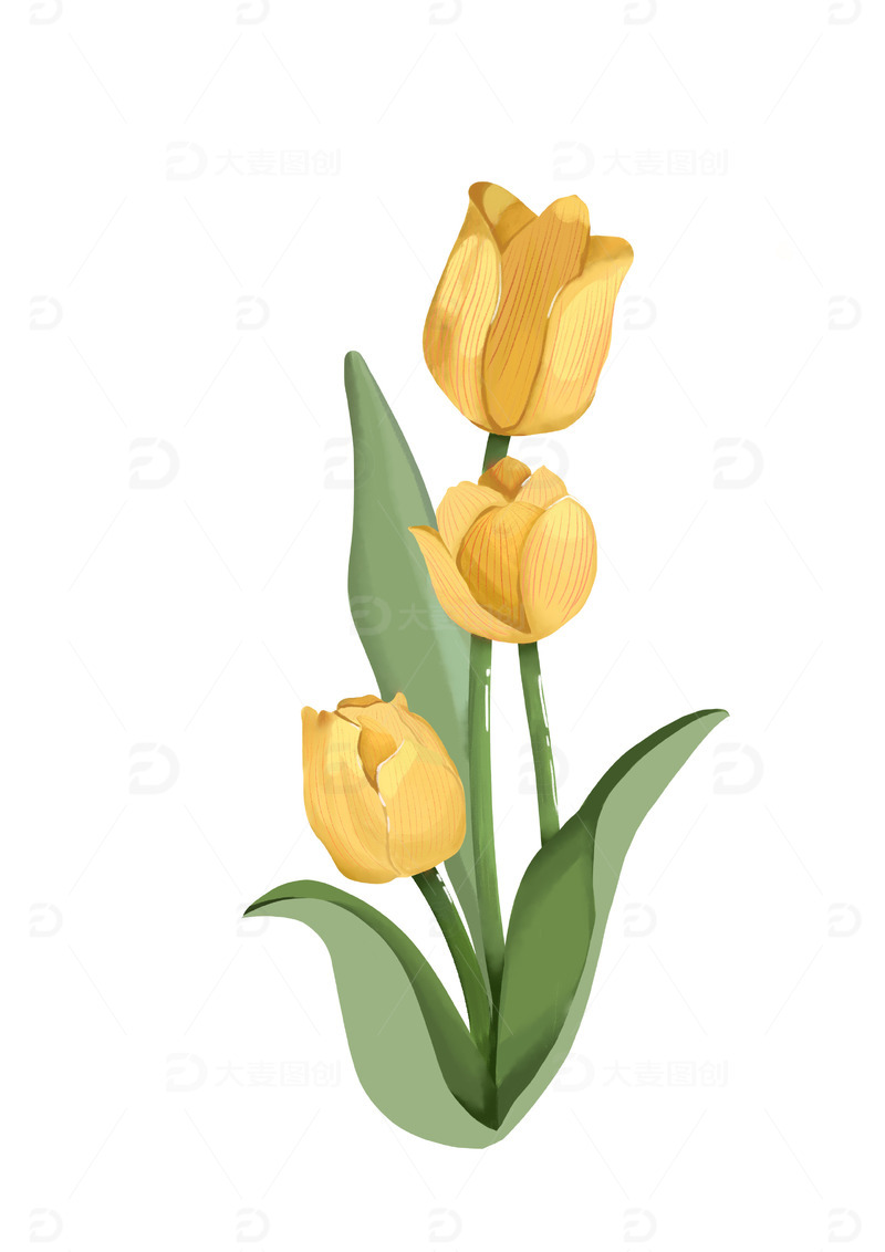 金色小清新郁金香手绘图