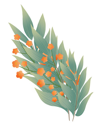 青绿色植物花草手绘