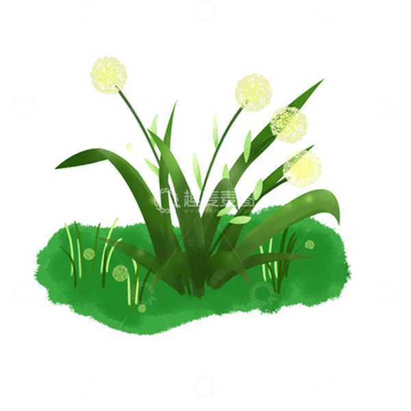 源文件下载【趣麦麦图】绿色小清新蒲公英植物手绘插画