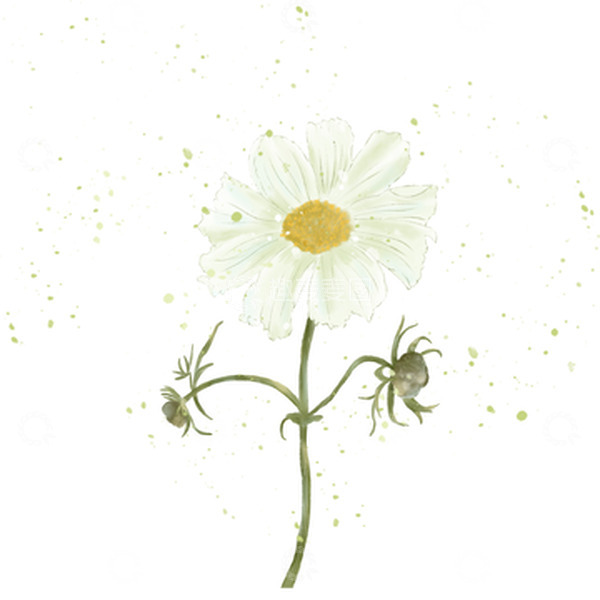 源文件下载【趣麦麦图】绿色小清新水彩手绘雏菊