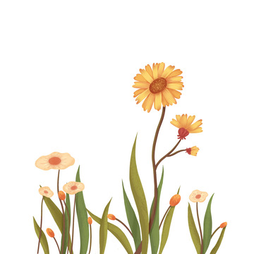 黄色复古手绘雏菊花草插画素材