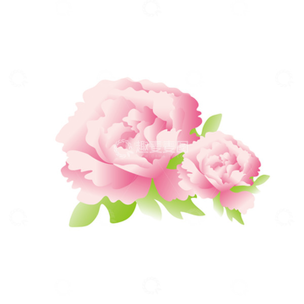 源文件下载【趣麦麦图】粉红色国潮矢量牡丹花元素