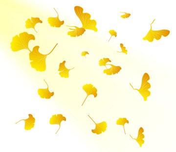 黄色银杏叶元素