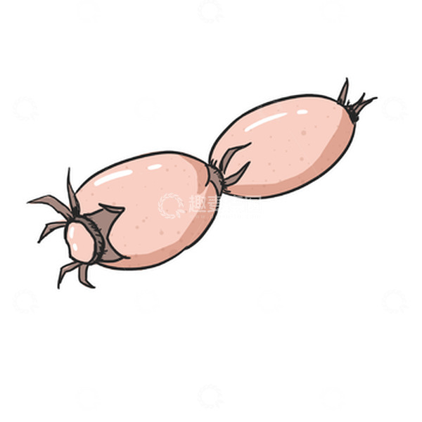 源文件下载【趣麦麦图】卡通蔬菜莲藕手绘图