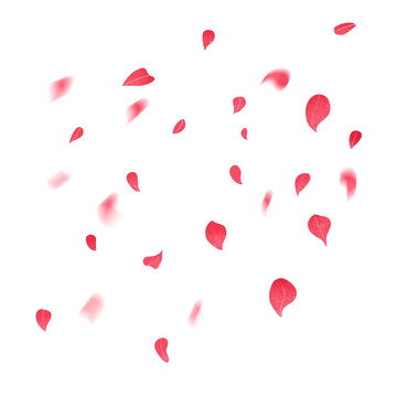 红色 粉色 花瓣 唯美 漂浮元素 手绘