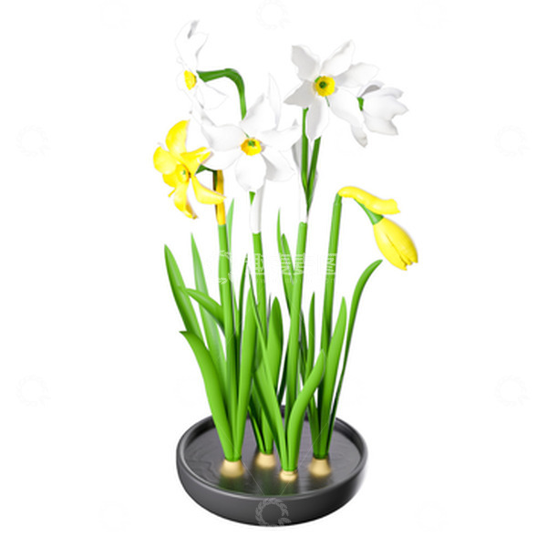 源文件下载【趣麦麦图】白色水仙小清新盆栽3D元素