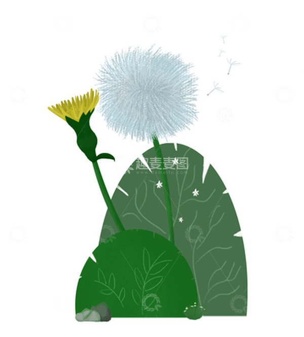 源文件下载【趣麦麦图】小清新蒲公英野花手绘插画元素