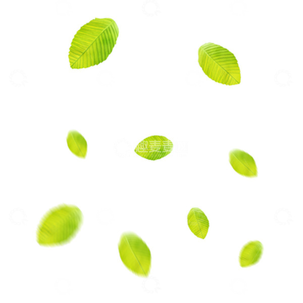 源文件下载【趣麦麦图】绿色树叶素材漂浮元素秋冬天落叶