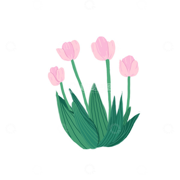 源文件下载【趣麦麦图】粉色郁金香装饰花丛