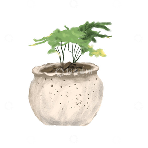 源文件下载【趣麦麦图】绿色手绘盆栽装饰文竹小盆景