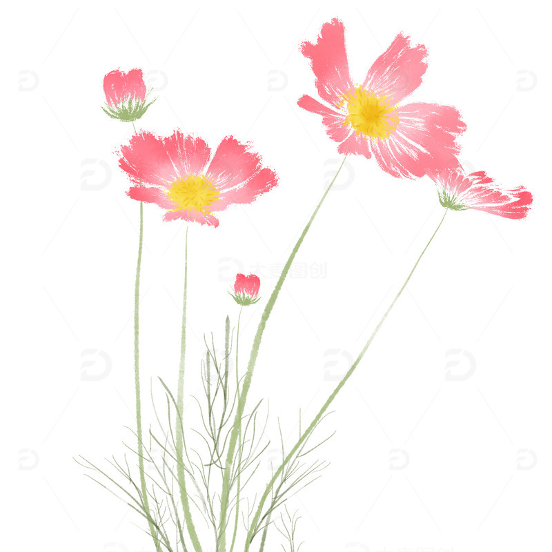 源文件下载【趣麦麦图】手绘梦幻粉色格桑花国画花卉植物花朵