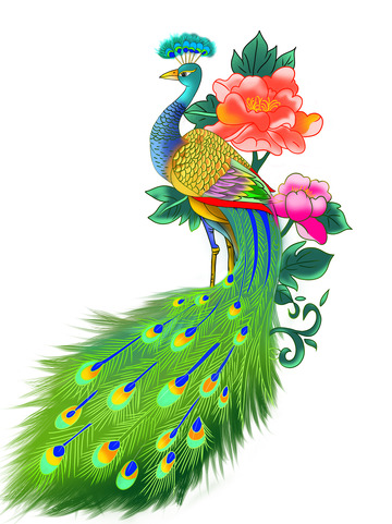 手绘国风国潮孔雀牡丹插画
