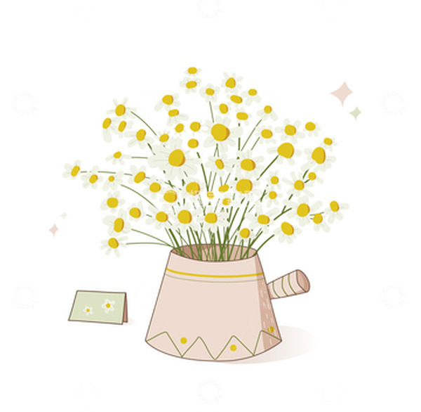 源文件下载【趣麦麦图】清新小雏菊手绘卡片治愈植物