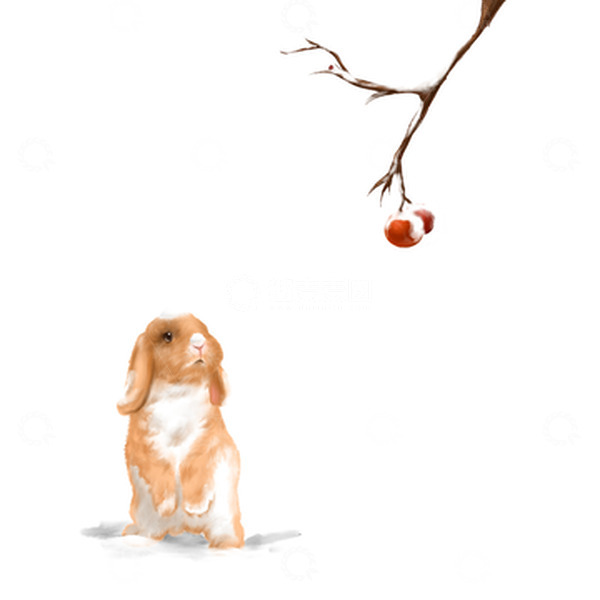 源文件下载【趣麦麦图】白色雪地里兔子望着树枝上的果子手绘