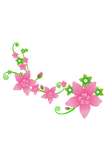 粉红色植物花枝