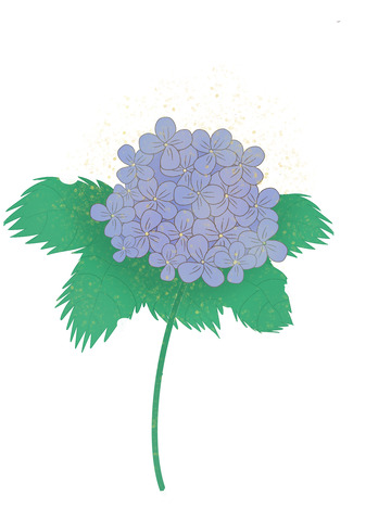 蓝色紫色绣球花手绘
