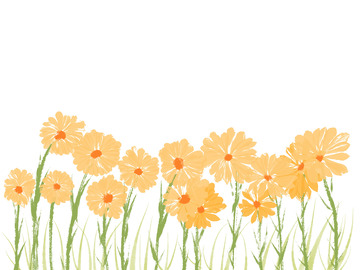 手绘文艺花卉植物花朵金色橘色波斯菊花丛