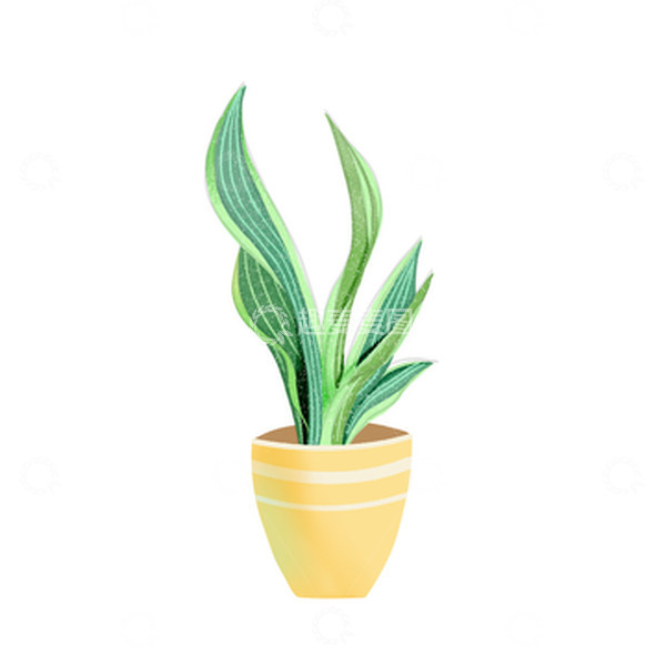 源文件下载【趣麦麦图】绿色小清新盆栽虎皮兰手绘图