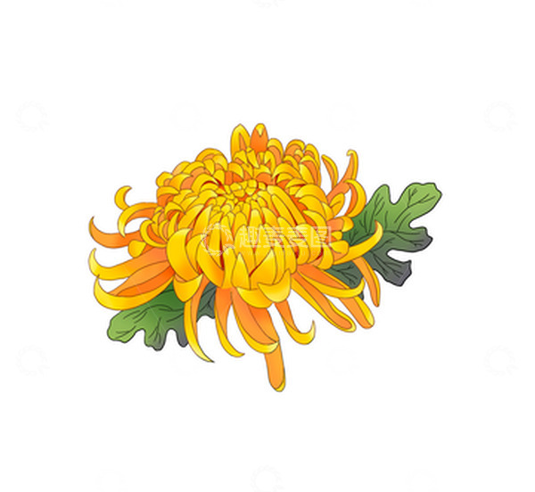 源文件下载【趣麦麦图】国潮风小清新手绘黄色菊花秋冬元素