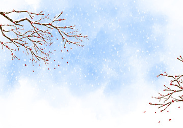 冬天梅花背景手绘