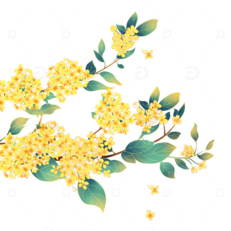 源文件下载【趣麦麦图】手绘国潮中秋金秋桂花植物素材