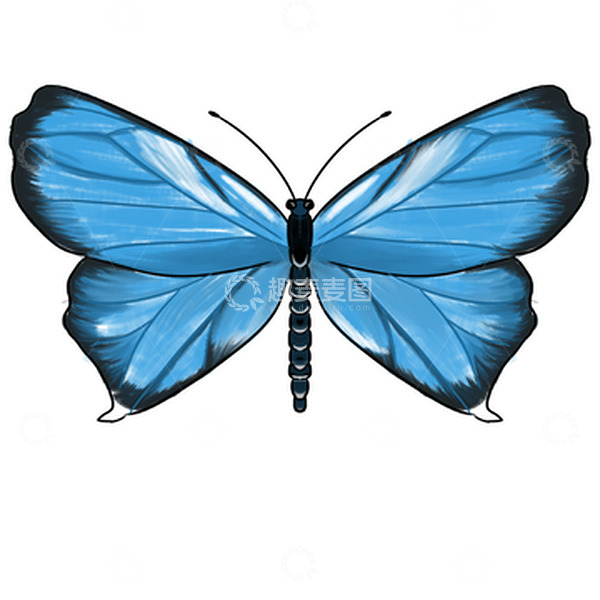 源文件下载【趣麦麦图】卡通蓝黑色蝴蝶飞蛾手绘图