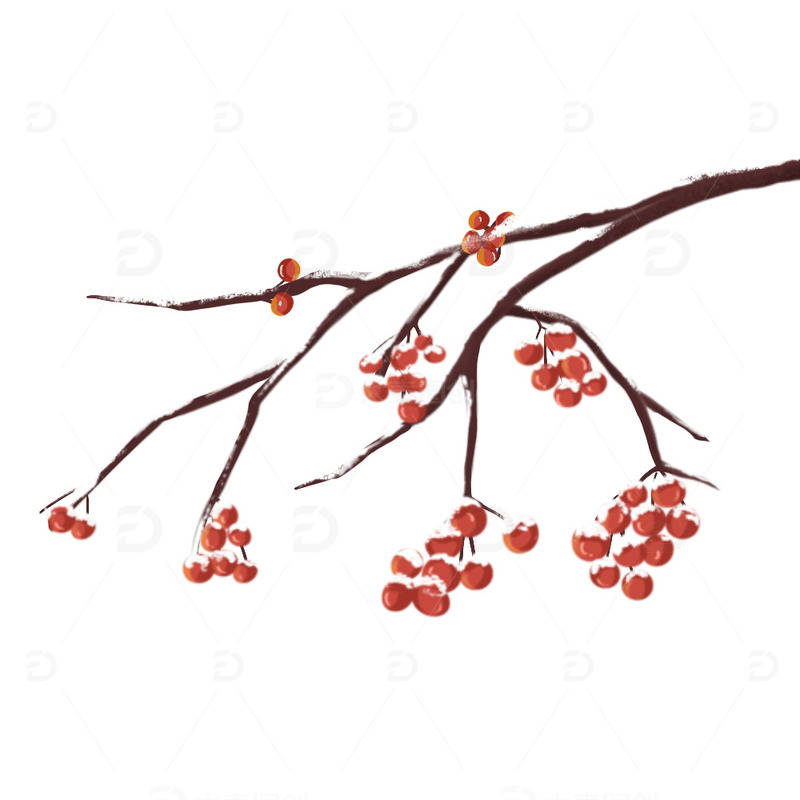 小清新冬季元旦树枝红果子下雪场景元素