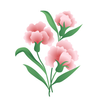 矢量清新风格康乃馨