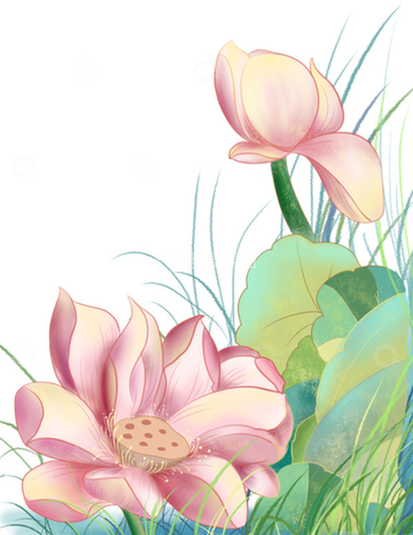 源文件下载【趣麦麦图】绿色手绘荷花植物花卉素材