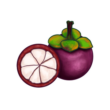 紫色可爱山竹手绘素材