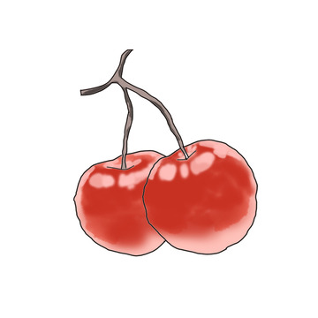 樱桃车厘子水果手绘