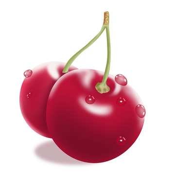 红色手绘樱桃插画