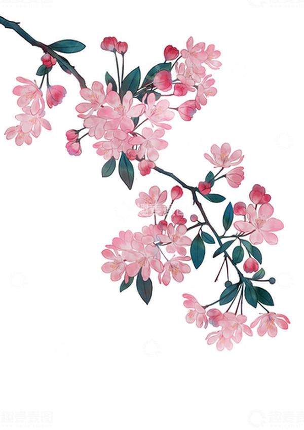 源文件下载【趣麦麦图】-古风粉色清新手绘水彩海棠花花卉插画