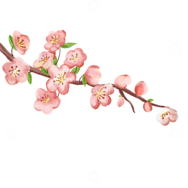 源文件下载【趣麦麦图】粉色调小清新春季立春花朵粉色花儿枝丫元素