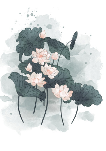墨绿色荷花手绘水墨风格植物插画