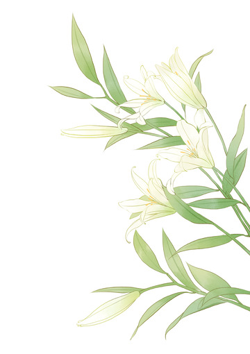 绿色小清新手绘百合花水彩淡雅植物装饰插画