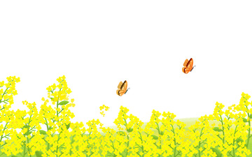 绿色小清新手绘卡通春天油菜花蝴蝶素材