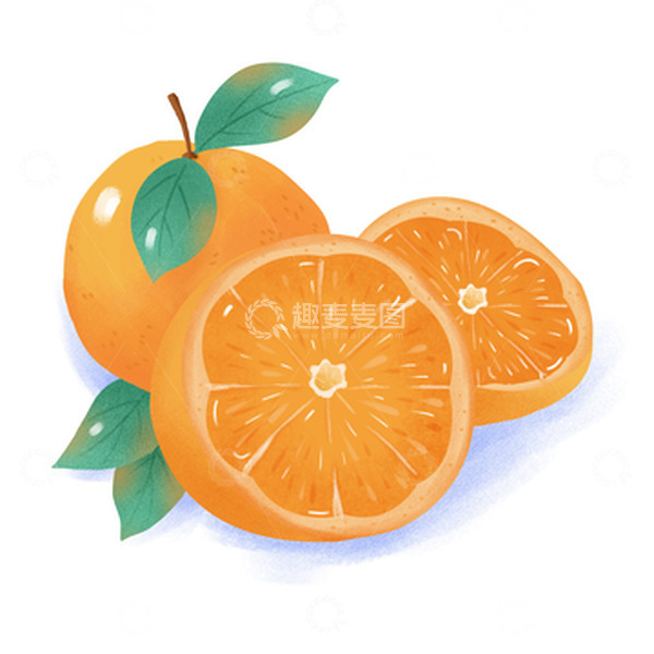源文件下载【趣麦麦图】-鲜橙水果橙子橘子桔子插画