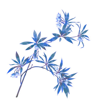 蓝色古风花枝元素手绘花插画