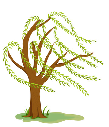 绿色小清新手绘柳树元素