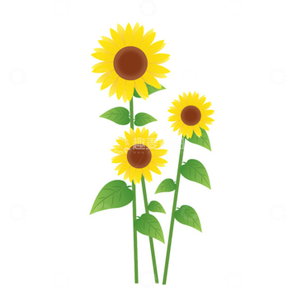 源文件下载【趣麦麦图】黄色向日葵卡通手绘图