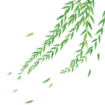 绿柳枝柳叶立春踏青清明植树节矢量