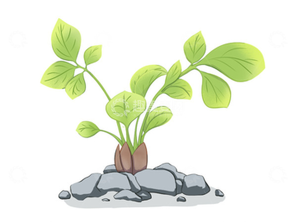 源文件下载【趣麦麦图】-绿色小清新春天发芽手绘插画元素