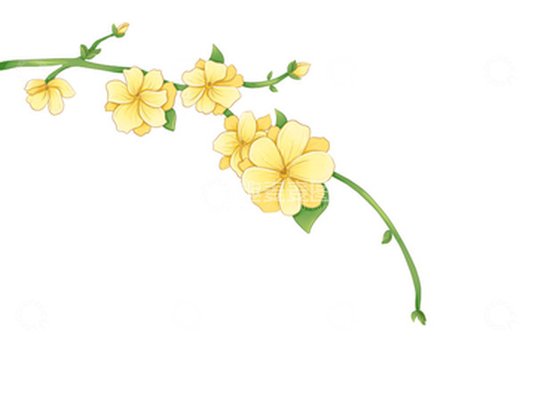 源文件下载【趣麦麦图】春天小清新风格的手绘迎春花