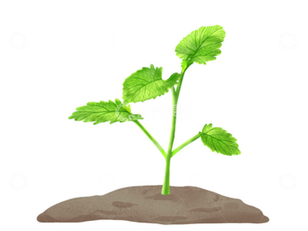 源文件下载【趣麦麦图】-万物复苏春天手绘发芽插画