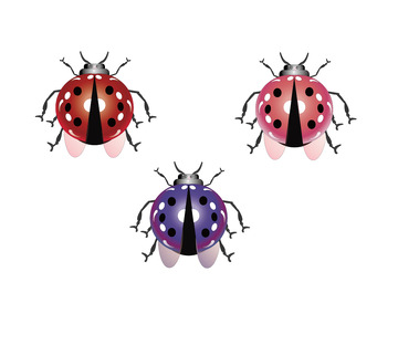 红色粉色紫色渐变瓢虫春天郊游卡通图
